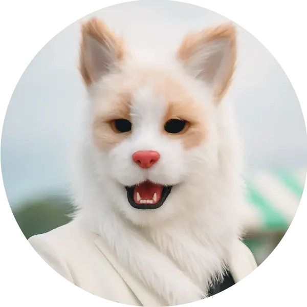 NIKU（加藤 祐介）プロフィール